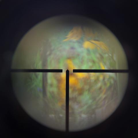 PUŠKOHLED GECO 6x42